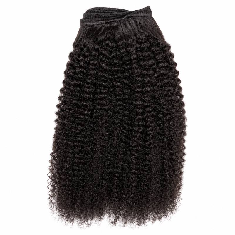 Afro Kinky Curly Clip-In