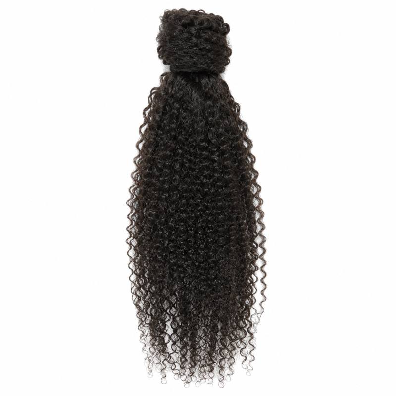 Kinky Curly Ponytail