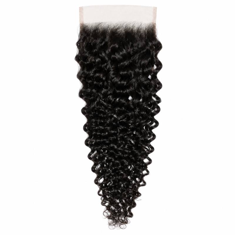 Raw Burmese Curly 5x5 HD Lace Closure